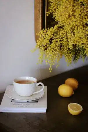 Ambiente Acogedor