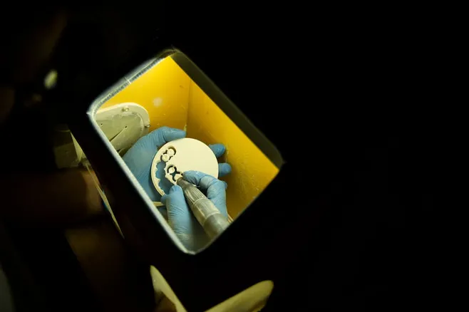 Calidad de la Implantación