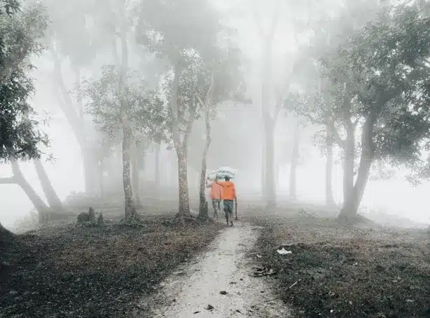 Cultivando un Ambiente de Amor