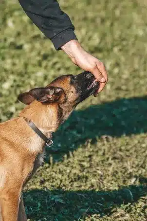 El Comportamiento Pobre y su Recompensa