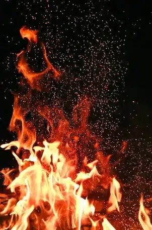 La importancia de la combustible en el fuego
