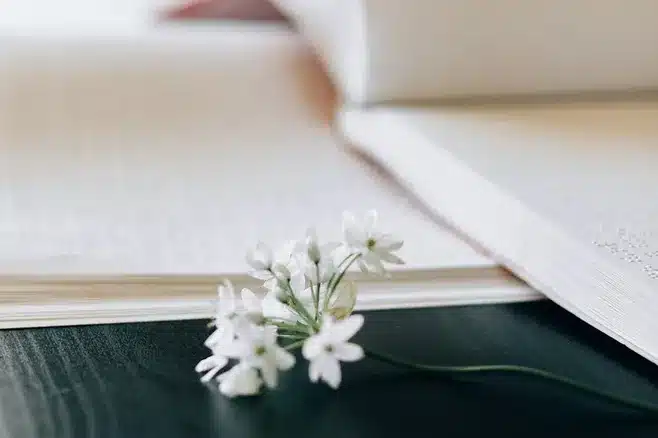La Poesía: Un Lenguaje Elegante