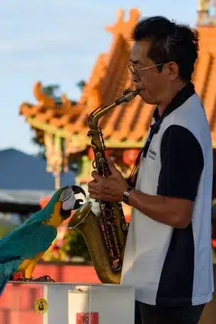 Origen de la Canción