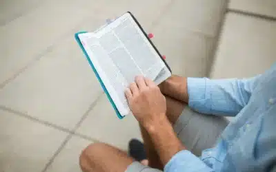 Conclusión