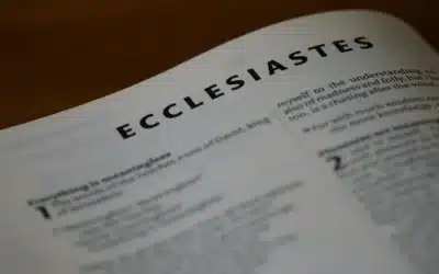 Conclusión