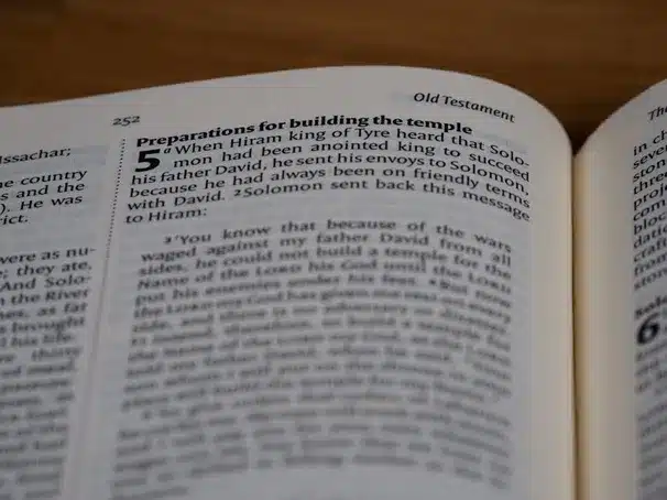Conclusión