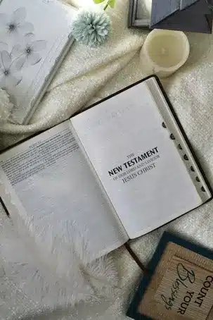 Conclusión
