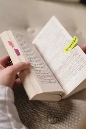Conclusión
