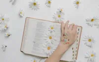 Conclusión
