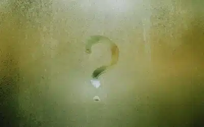Conclusión