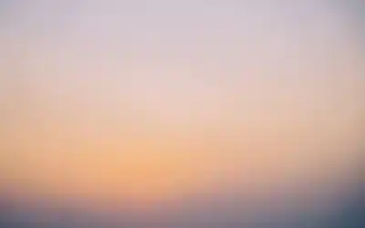 Conclusión