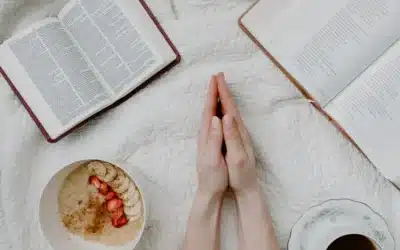 Conclusión