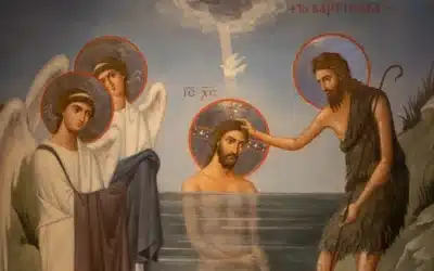 Conclusión