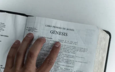 Conclusión