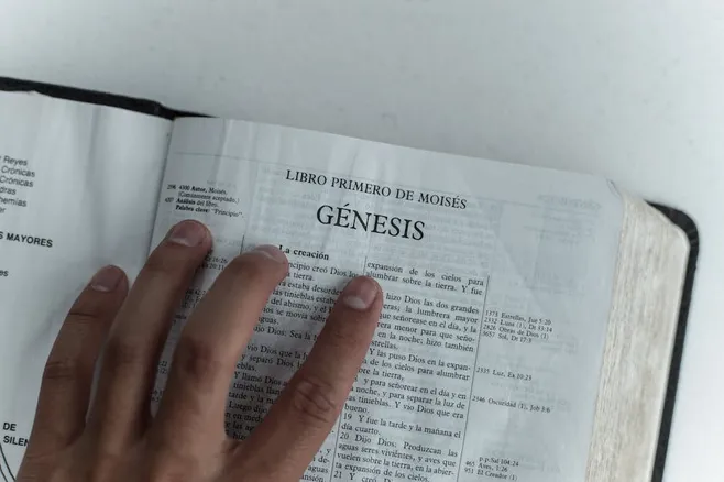 Conclusión