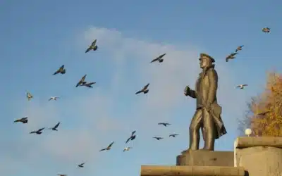 Conclusión