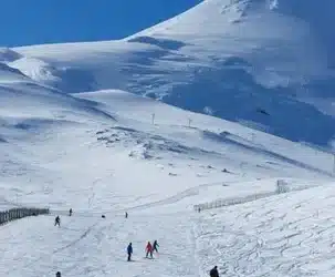 Conclusión