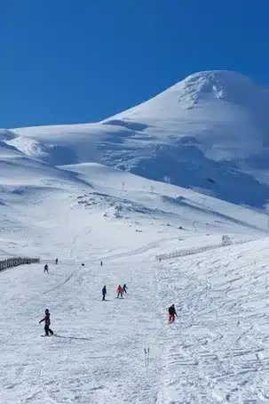 Conclusión