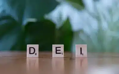 Conclusión