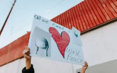 Conclusión