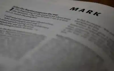Conclusión