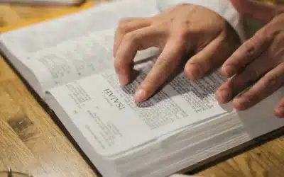 Conclusión