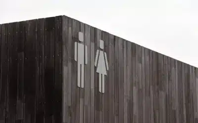 Conclusión