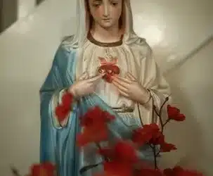 Inspiración para Generaciones