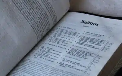 Conclusión