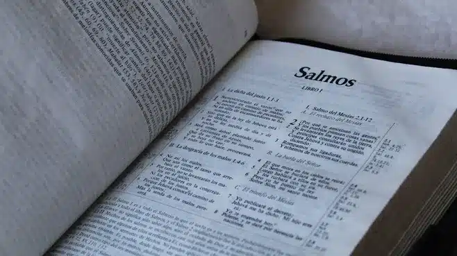 Conclusión