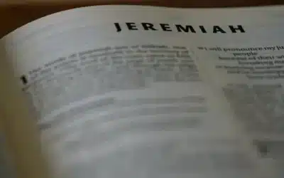 Conclusión