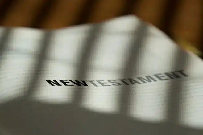Conclusión