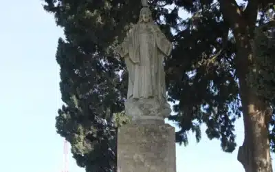Conclusión