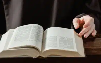 Conclusión
