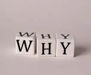 Conclusión