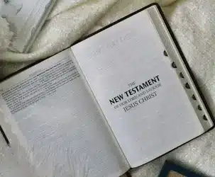 Conclusión