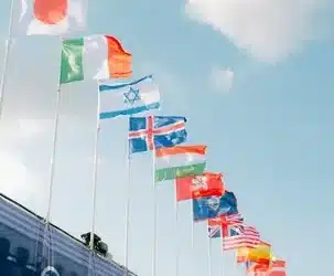 Conclusión