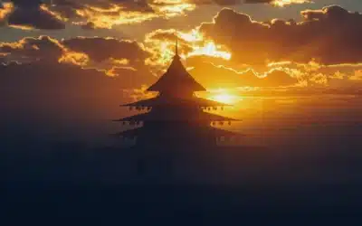 Conclusión