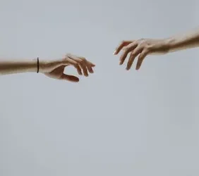 Conclusión