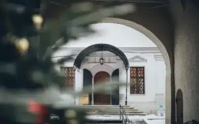 Conclusión