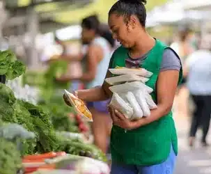 Conclusión