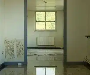 Conclusión