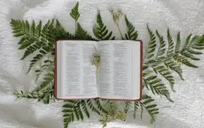 Interpretación espiritual