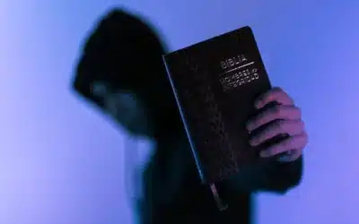 Conclusión