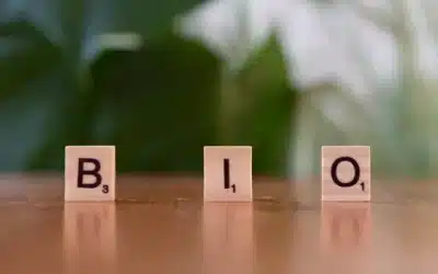 Conclusión