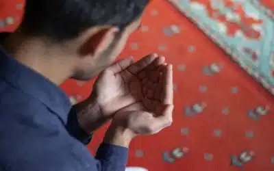 Conclusión