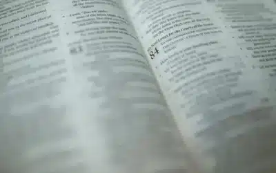 Conclusión