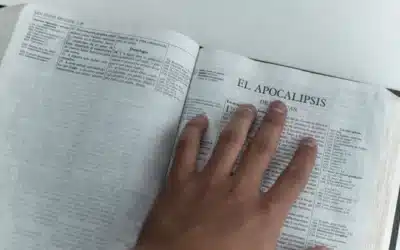 Conclusión