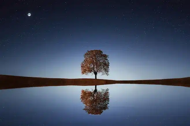 Reflexión