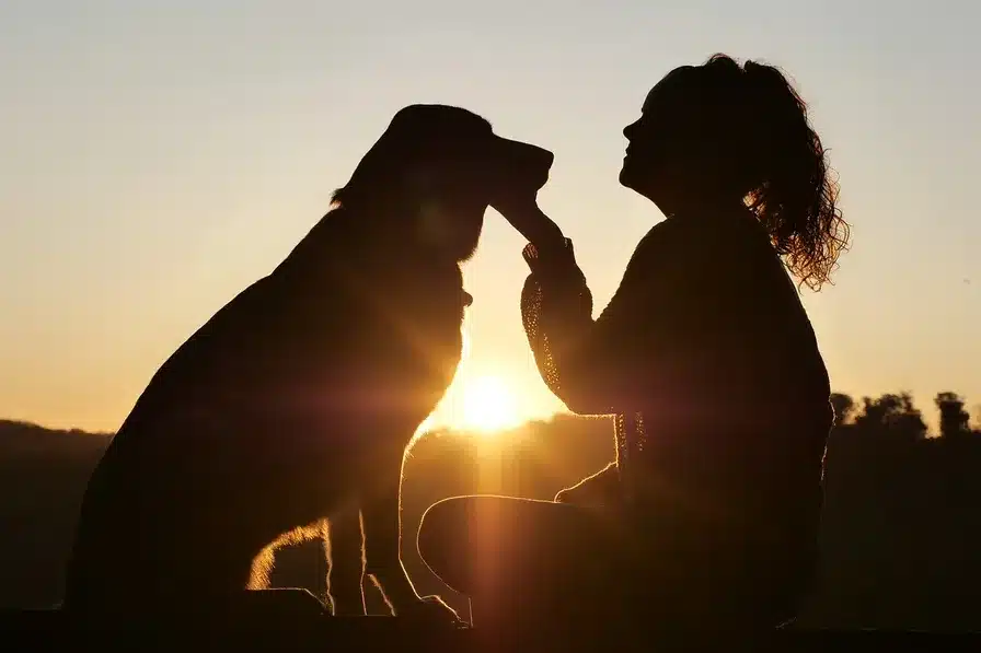 Amor del Señor y cuidado del perro